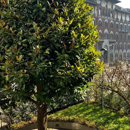 Rock - Nizza * 都灵